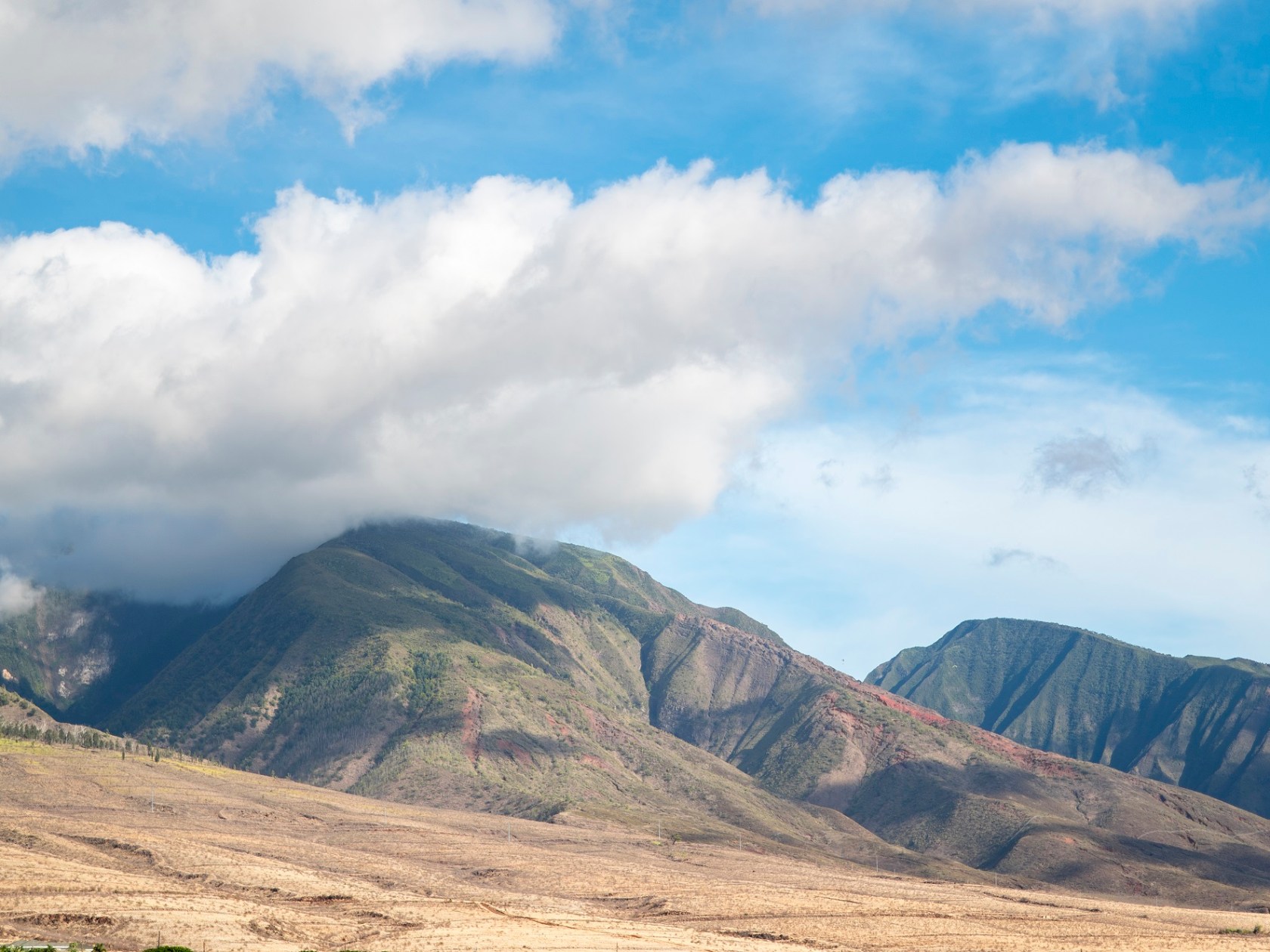 a large mountain in the background