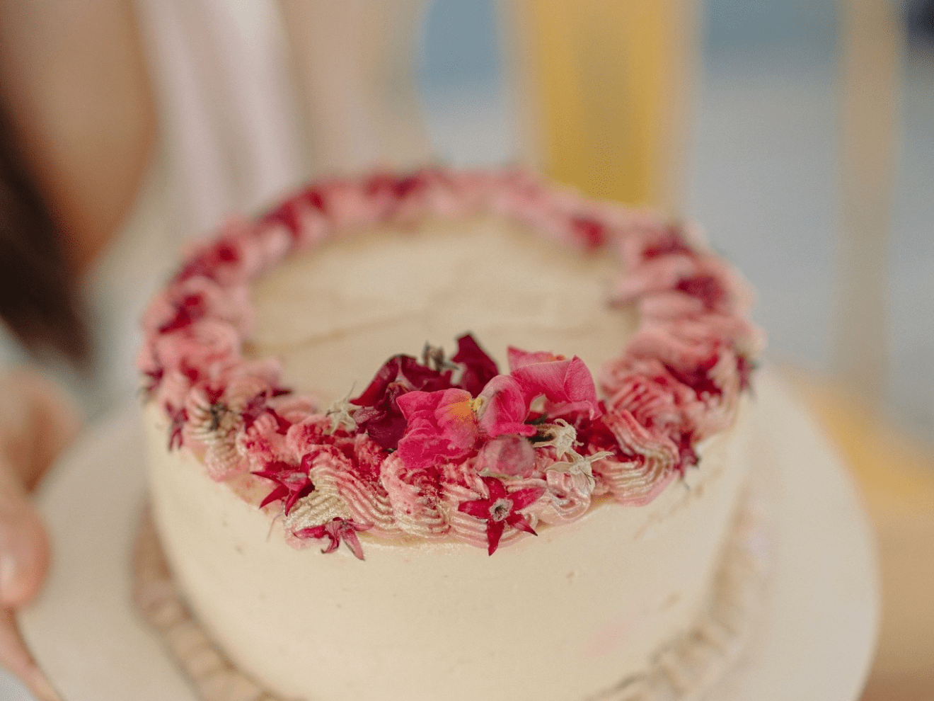 a piece of cake on a plate