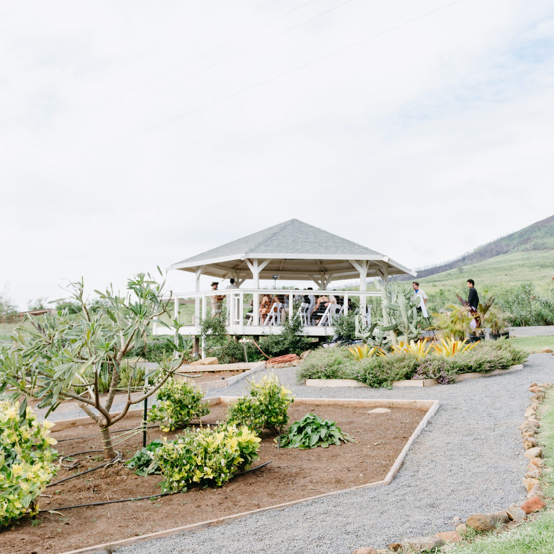 a path with trees on the side of a house