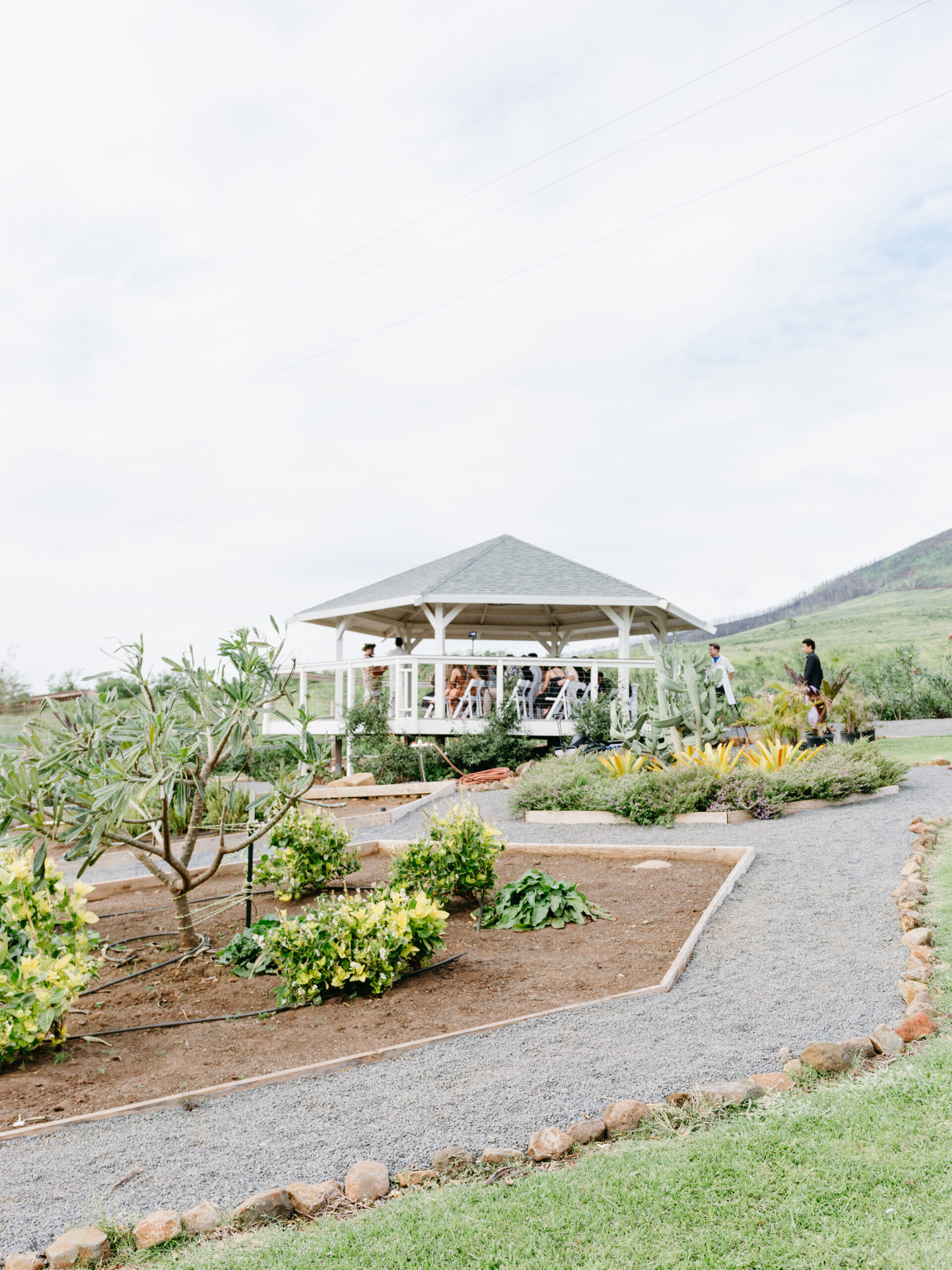 a path with trees on the side of a house
