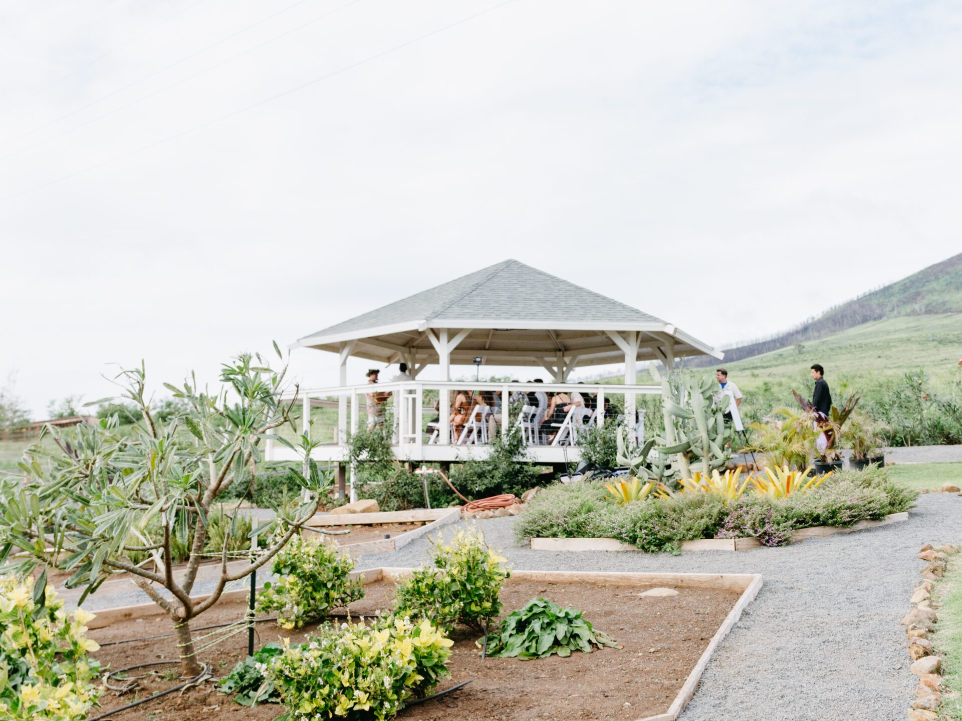a path with trees on the side of a house