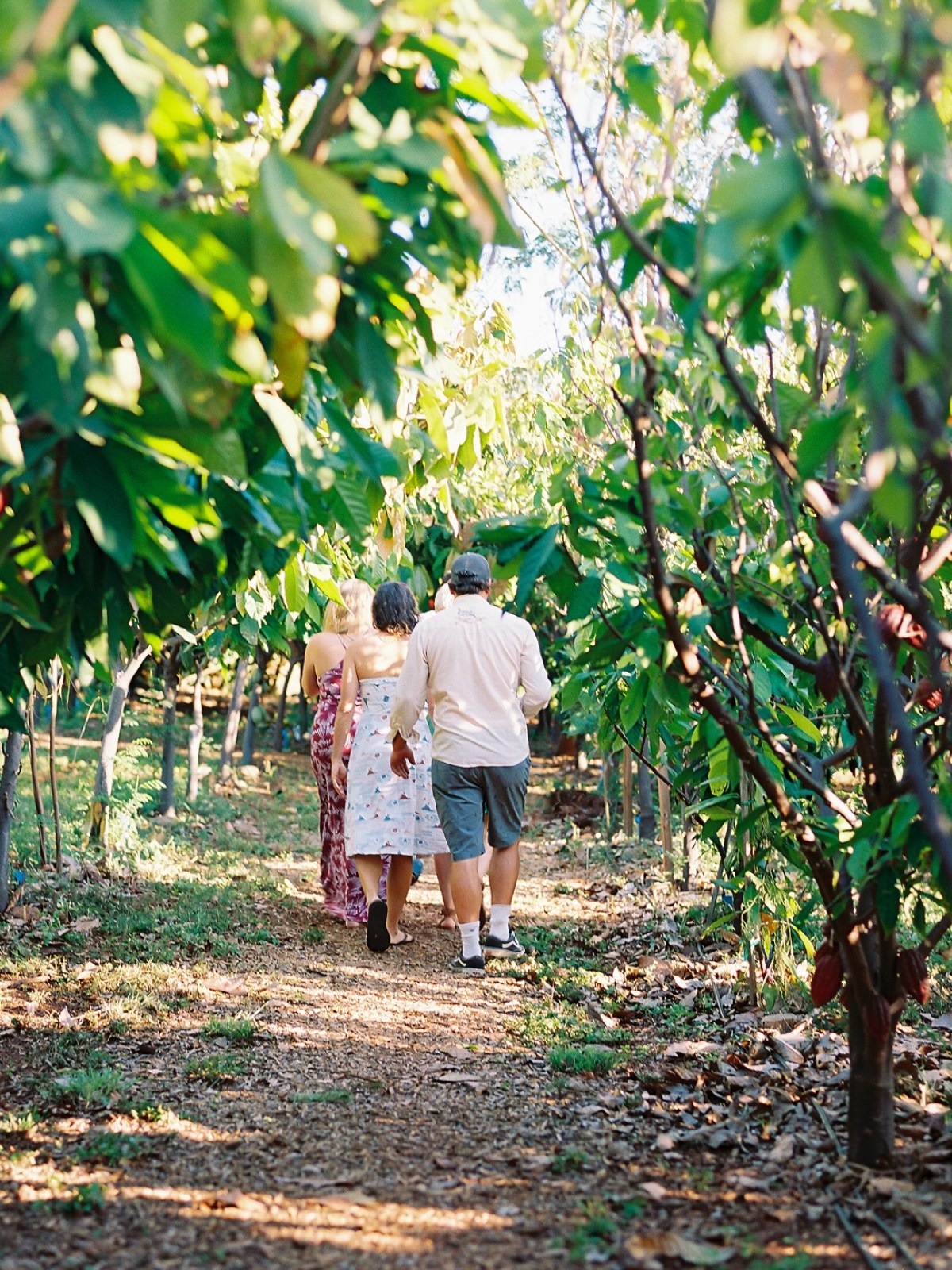 a group of people standing in front of a tree