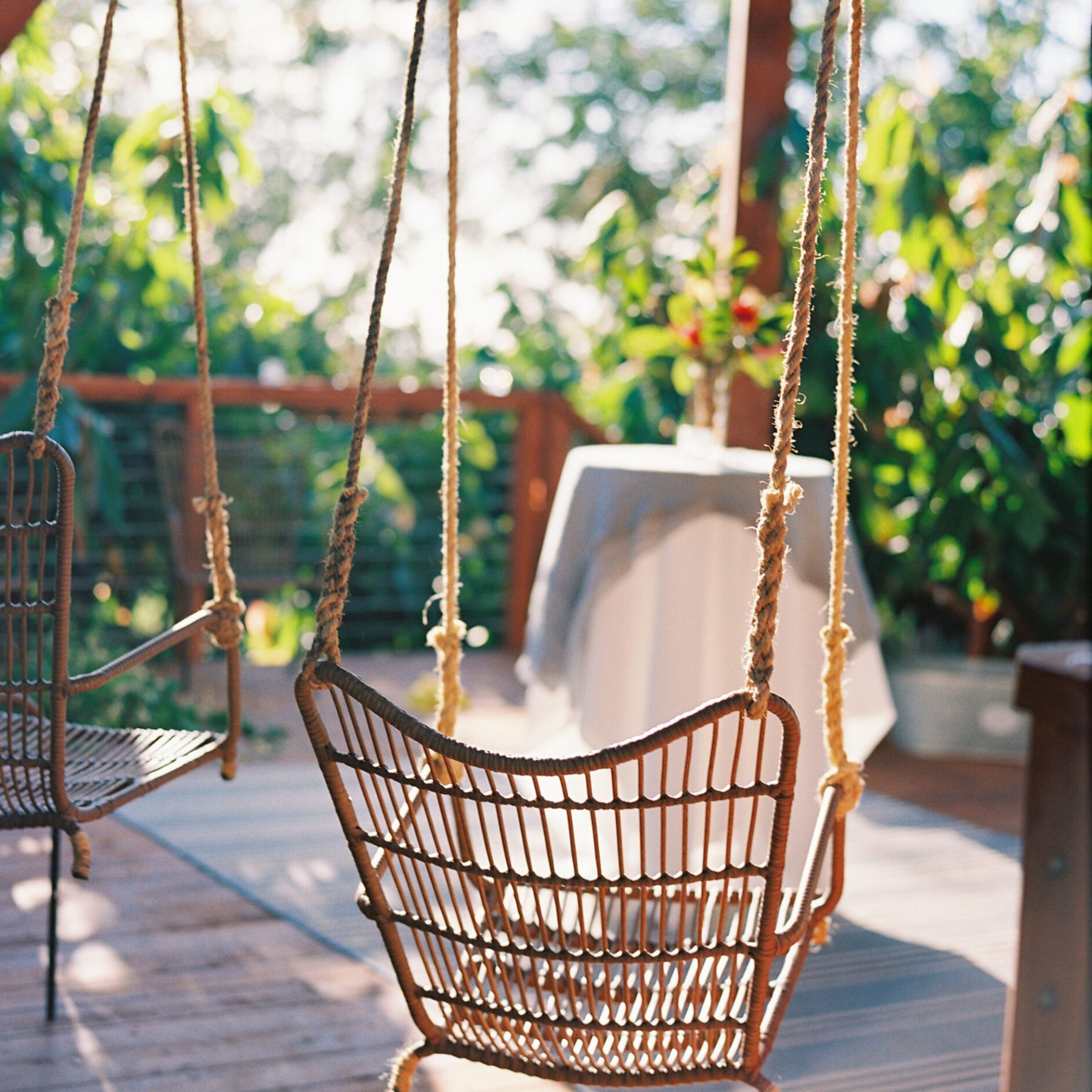 a bird sitting on top of a wooden chair