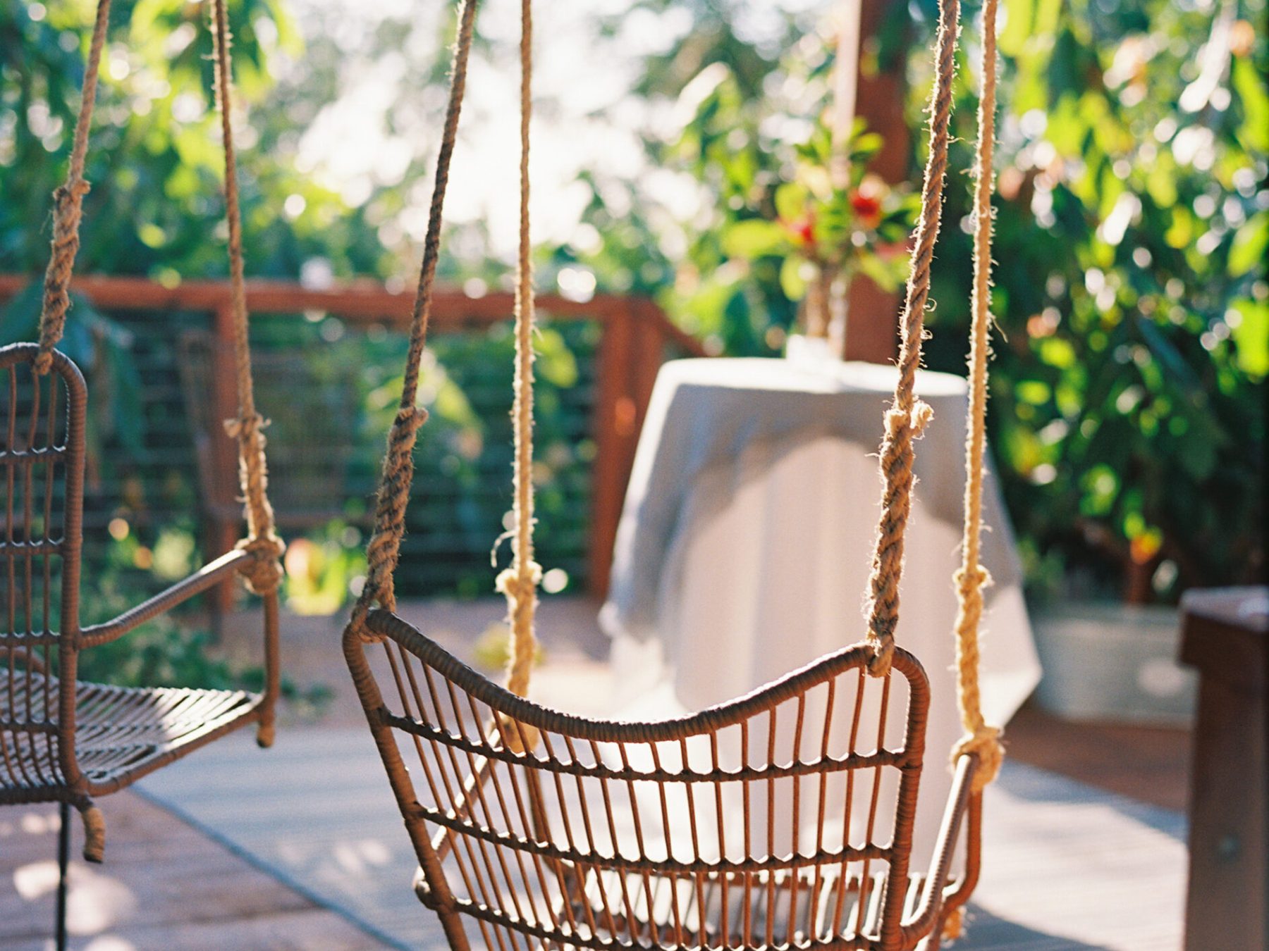 a bird sitting on top of a wooden chair