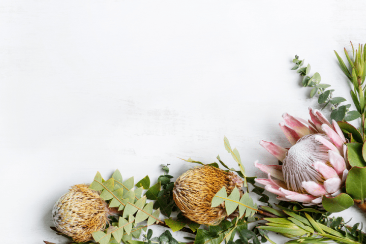 a vase of flowers on a table