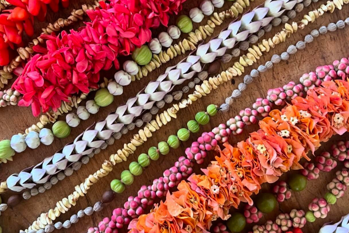 Hawaii Floral and Fauna