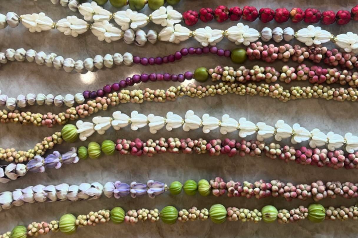 Hawaii Floral and Fauna