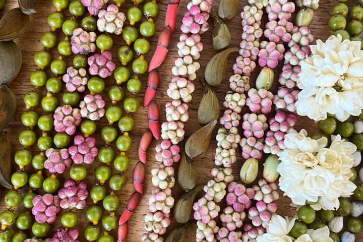 Hawaii Floral and Fauna