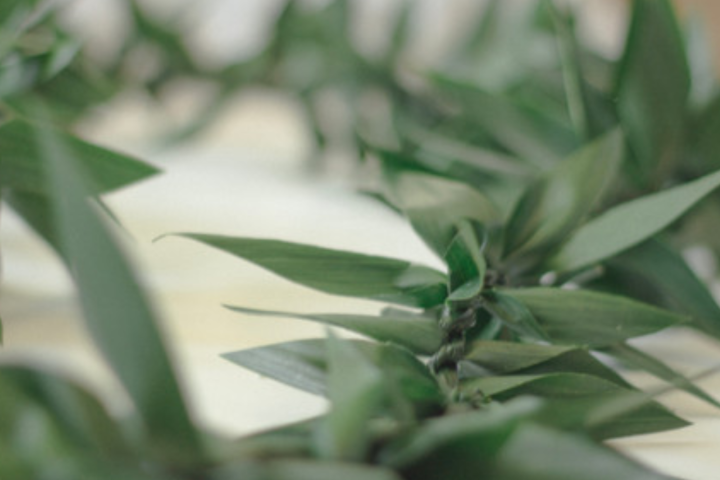 a close up of a ti leaf lei